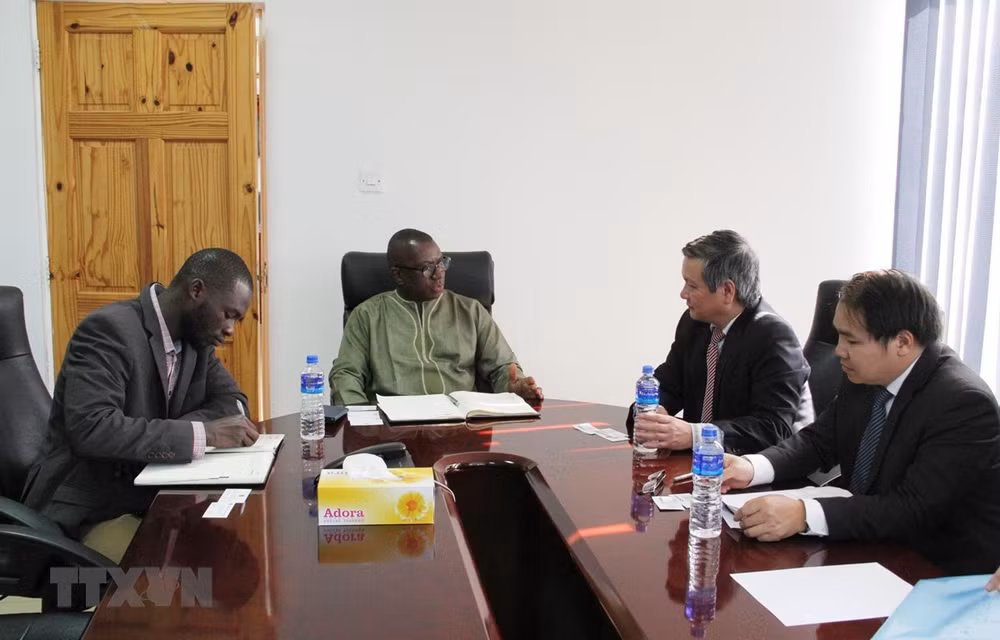 Vietnam, The Gambia to expand economic-trade cooperation ảnh 1