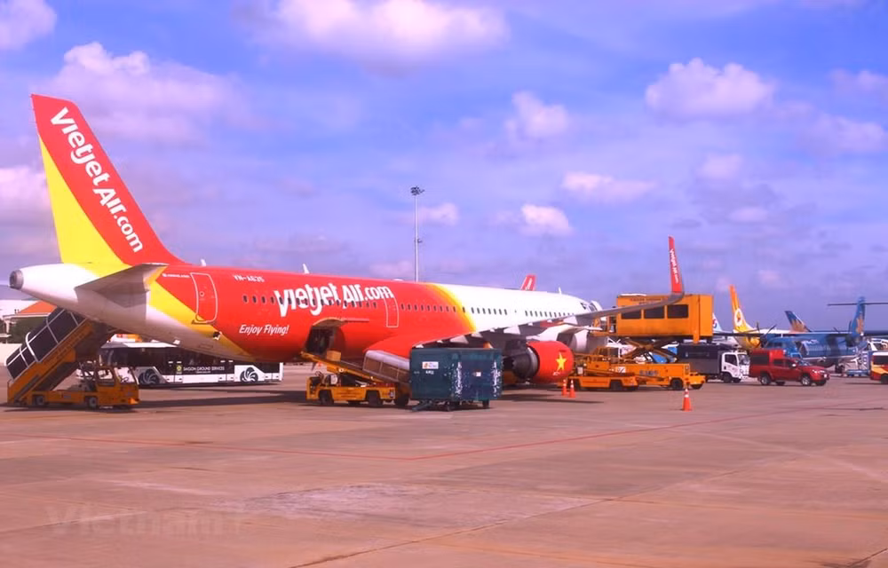 Private sector expected to build sustainable aviation industry ảnh 1
