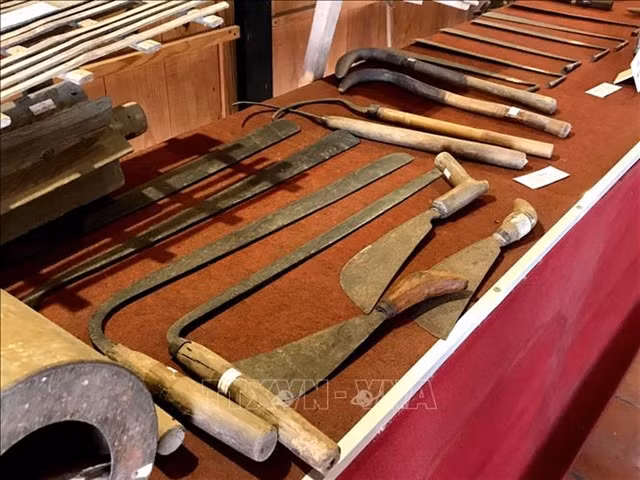 Vietnamese farmers’ creativity to be showcased in museum ảnh 1