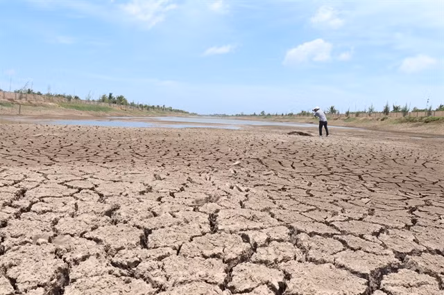 Drought, saltwater dry up Mekong Delta’s largest reservoir ảnh 1