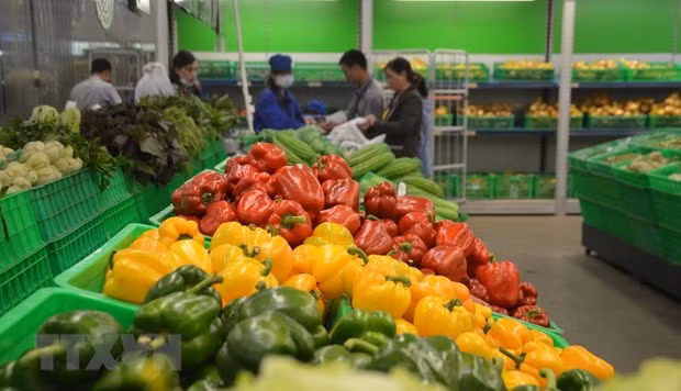 Fruit, vegetable exports up 7.9 percent in April ảnh 1