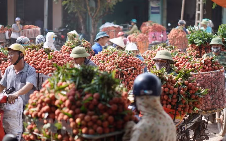 Vietnam seeks to export fresh fruits, vegetables to Thailand ảnh 1