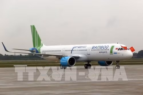 Bamboo Airways permitted to operate direct flights to Japan ảnh 1