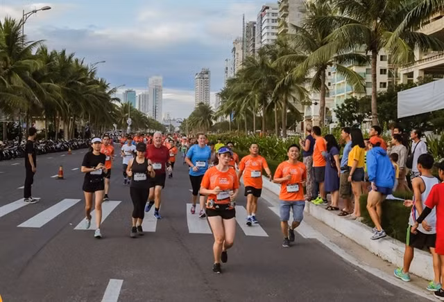 Manulife Danang International Marathon to take place in August ảnh 1