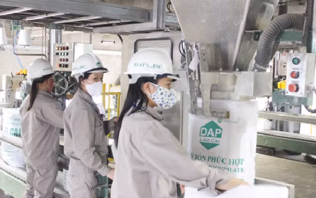 Outstanding loans of 12 inefficient projects amount to nearly 21 trillion VND ảnh 1