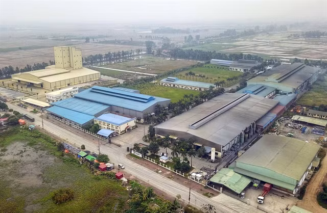 Demand for ready-built factories and warehouses increasing: CBRE ảnh 1 Demand for ready-built factories and warehouses increasing: CBRE ảnh 1