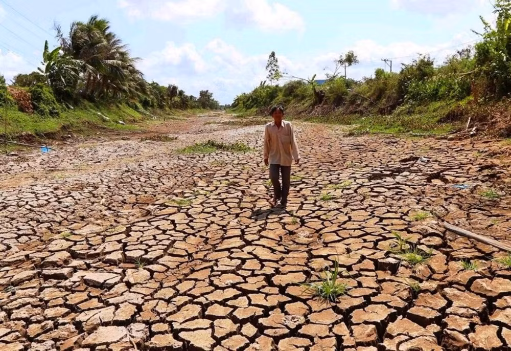 PM calls for urgent action to deal with drought, saltwater intrusion ảnh 1