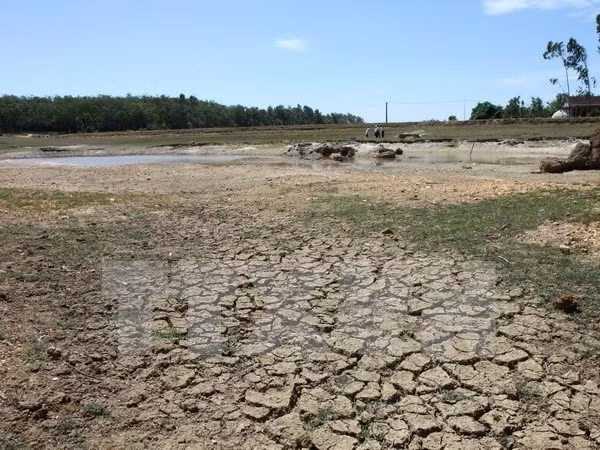 Farmers supported to cope with drought ảnh 1
