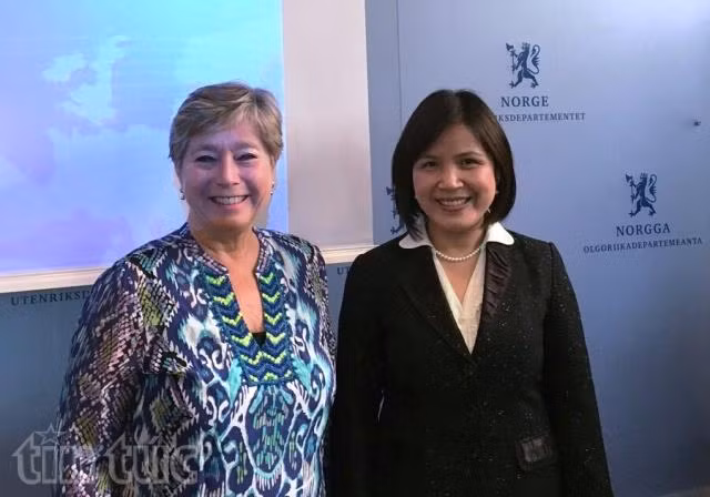 Vietnam, Norway look to boost cooperation ảnh 1