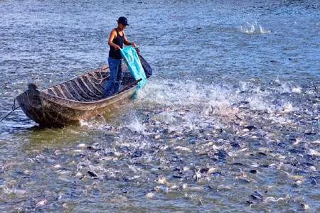 Mekong Delta sustainable development solutions identified ảnh 1