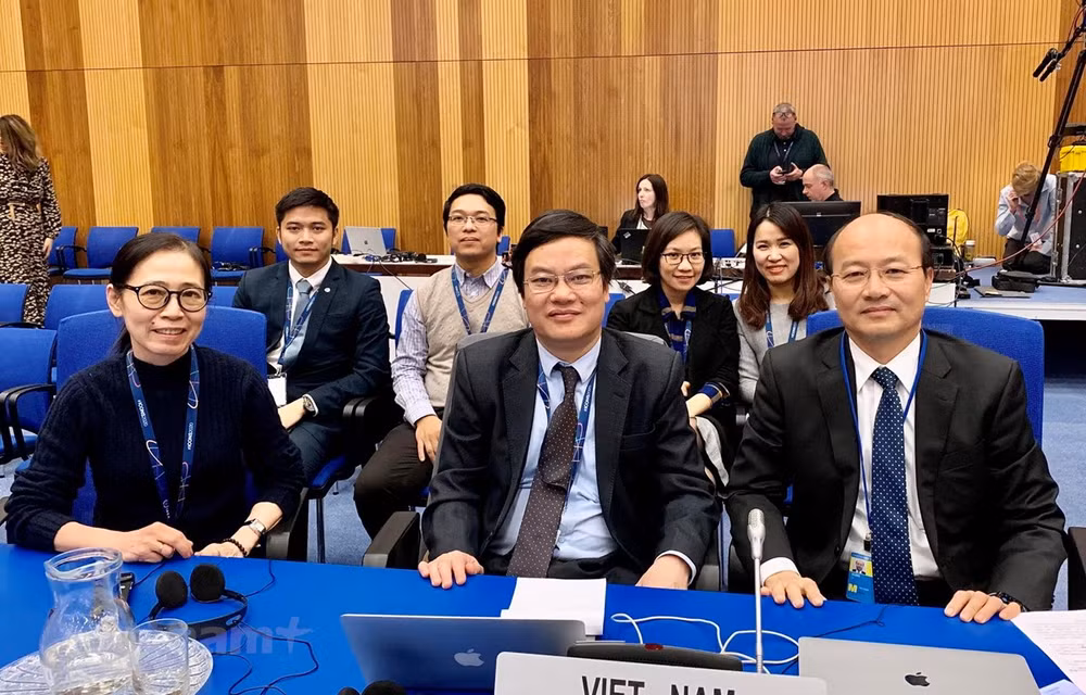 Vietnam actively engages in cooperation to ensure nuclear security ảnh 1