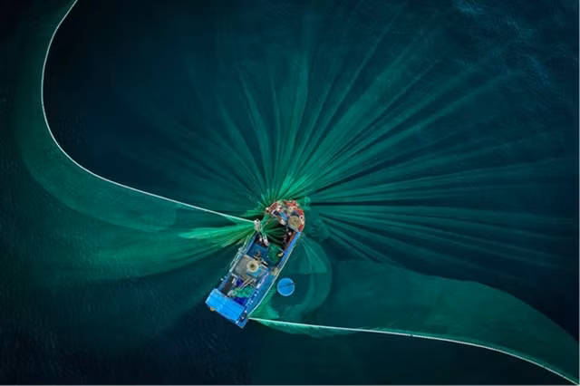 Vietnamese photographers up for prestigious award ảnh 2