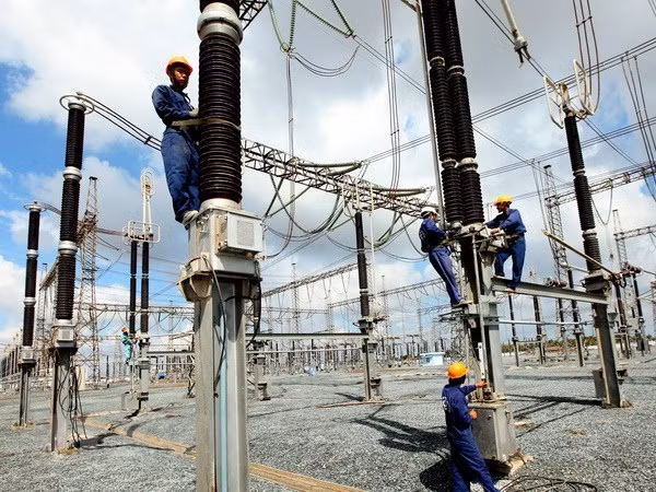 Purchase price for biomass power adjusted up ảnh 1