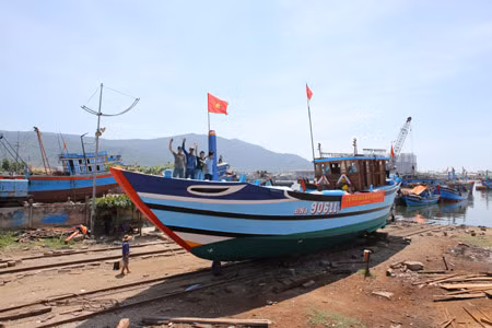 Central city debuts fishing logistics fleet ảnh 1