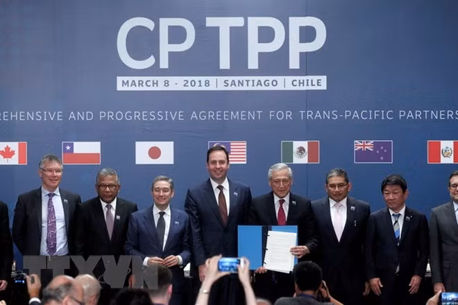 CP TPP – a progressive trade direction in 21st century ảnh 1