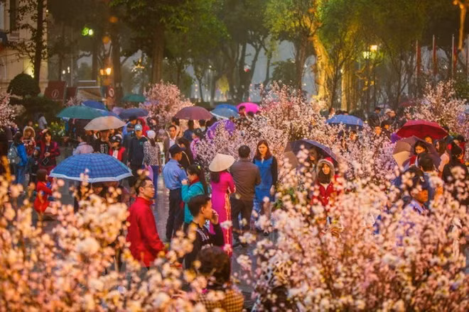 Ministry requests strengthening post-Tet price management ảnh 1
