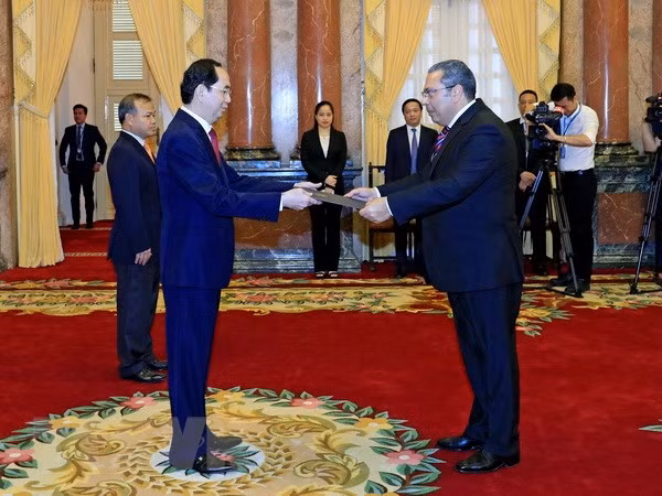 President meets new South African, Egyptian ambassadors ảnh 2