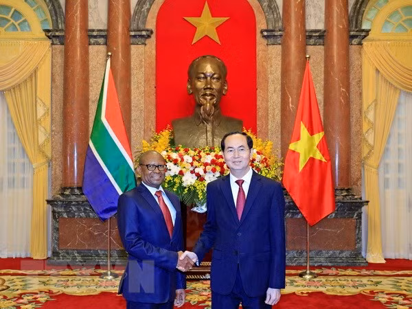President meets new South African, Egyptian ambassadors ảnh 1