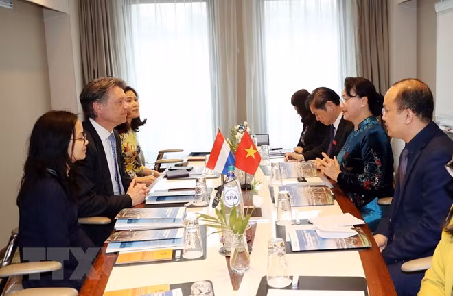 NA Chairwoman receives Rotterdam int’l port’s Director ảnh 1