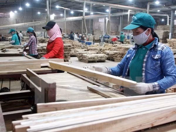 2018 to be good year for wood products export ảnh 1