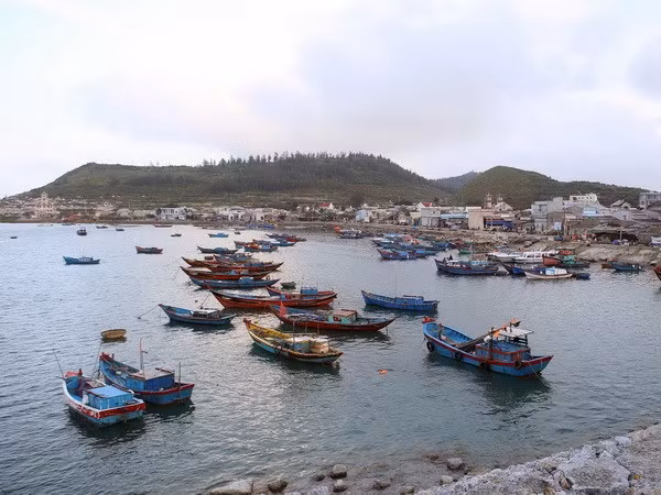 Vietnamese boats’ overseas illegal fishing down significantly ảnh 1