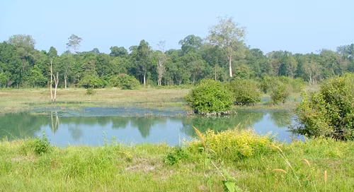 Tay Ninh expands Lo Go-Xa Mat national park ảnh 1