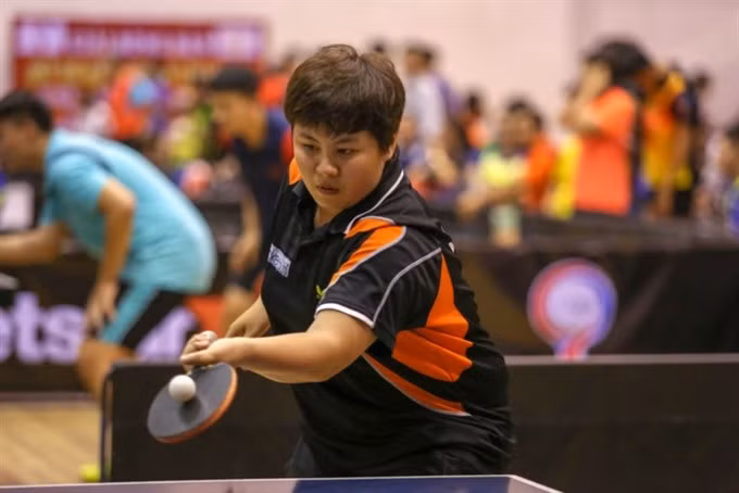 Vietnamese, Japanese players in table tennis exchange ảnh 1