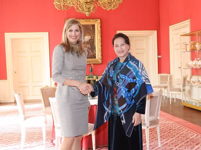 Vietnam treasures relations with Netherlands ảnh 1