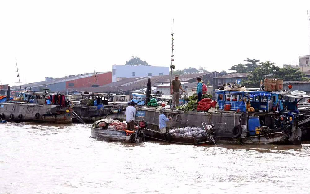 Can Tho serves 1.8 million tourists in two months ảnh 1