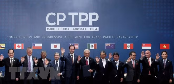 Domestic businesses expect positive impacts by CPTPP ảnh 1