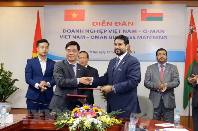 Vietnam, Oman look to fostering investment cooperation ảnh 1