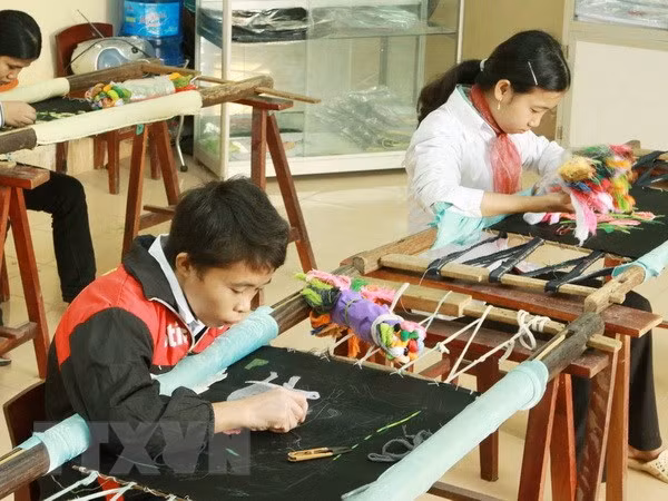 Vietnam Friendship Village – symbol of solidarity ảnh 1
