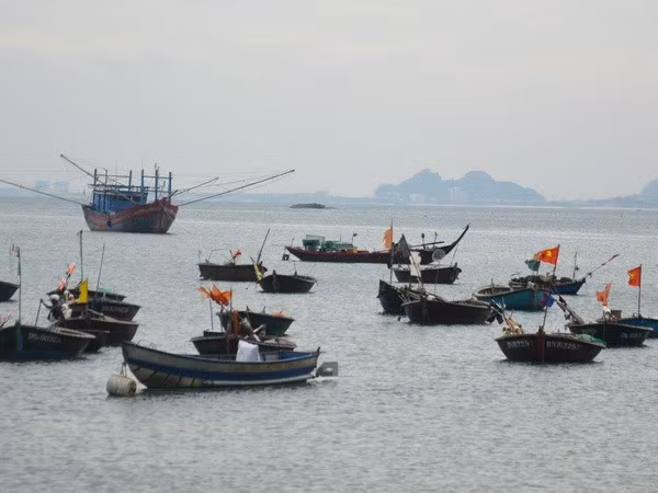 Dialogue seeks to promote fishery cooperation in East Sea ảnh 1