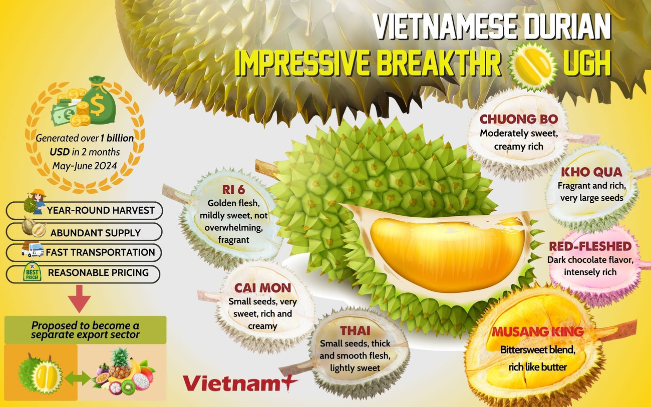 02 Sau rieng.jpg