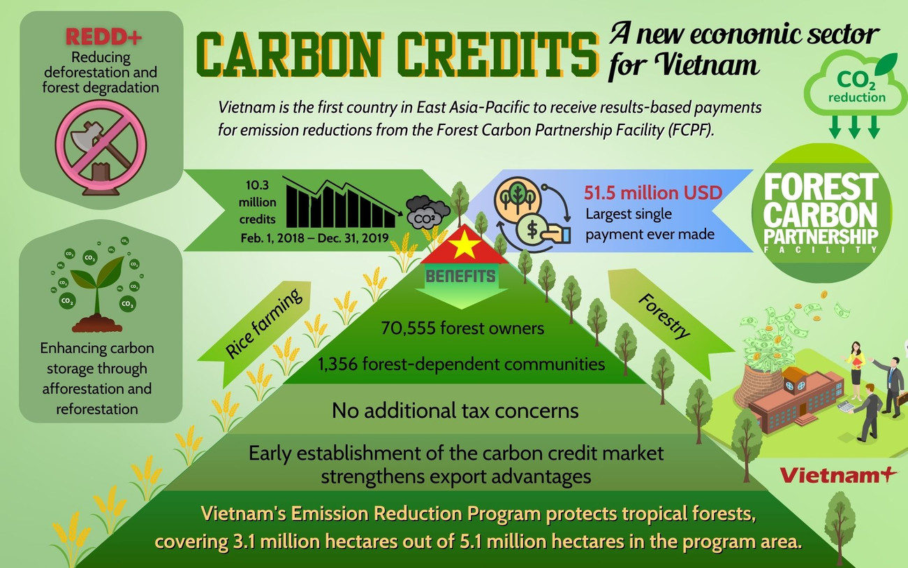 Carbon.jpg