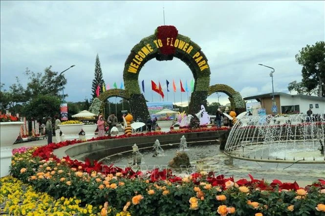 Da Lat city's flower garden attracts about 20,000 people in the last 15 days. (Photo: VNA)