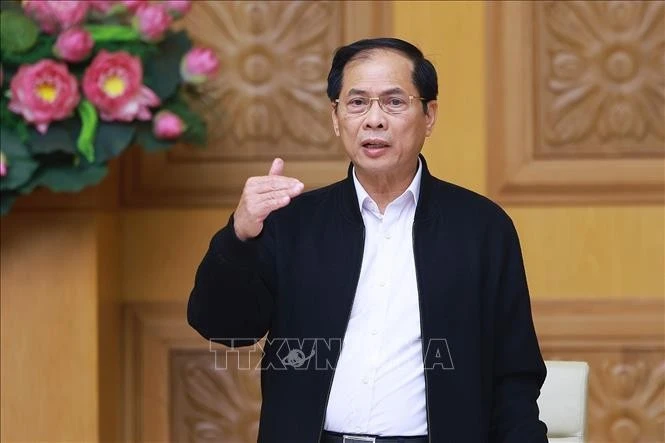 Deputy Prime Minister and Minister of Foreign Affairs Bui Thanh Son speaks at the meeting. (Photo: VNA)