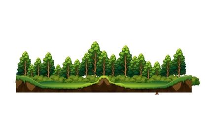 Vietnam forest coverage exceeds 14.97 million hectares in 2025