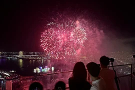 Tourists watch a fireworks display in Da Nang city (Photo: VNA)