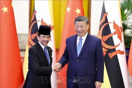 Chinese President Xi Jinping (right) and Brunei's Sultan Haji Hassanal Bolkiah Mu'izzaddin Waddaulah at their meeting in Beijing, China, on February 6, 2025. (Photo: Xinhua/VNA)