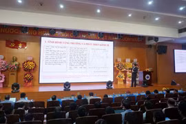 At the conference (Photo: VNA)