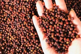 Peppercorns from Vietnam's Central Highlands province of Gia Lai (Photo: VNA)