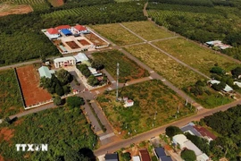 A corner of Bu Dang district (Photo: VNA)