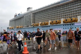 The number of international tourists arriving by cruise ships has surged in recent years. (Photo: VNA) 