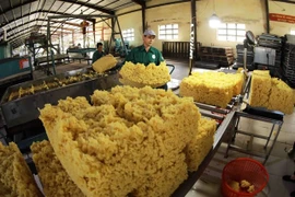 Processed rubber is one of seven staple export items in 2024 with an export value of 3.2 billion USD. (Photo: VNA)