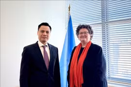 Ambassador Dang Hoang Giang (L), Permanent Representative of Vietnam to the UN, and United Nations Under-Secretary-General for Legal Affairs Elinor Hammarskjöld at their meeting in New York on March 26. (Photo: VNA)