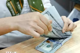The daily reference exchange rate for the US dollar is set at 24,346 VND/USD on January 14, up 3 VND from the previous day. (Photo: VNA)