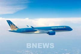 A Vietnam Airlines airplane (Photo: VNA)