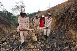 The over 220 kg bomb is carried to a secure storage area in the central province of Quang Binh for safe detonation. (Photo: VNA)