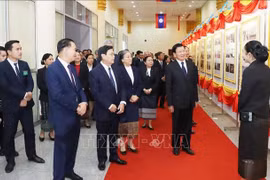 At the exhibition (Photo: VNA)